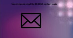 french guiana email list 100000 contact leads