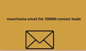 mauritania email list 100000 contact leads