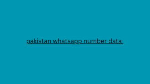 pakistan whatsapp number data