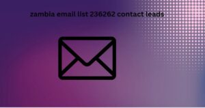 zambia email list 236262 contact leads